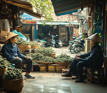 Cannabis légalité Vietnam carte juridique information